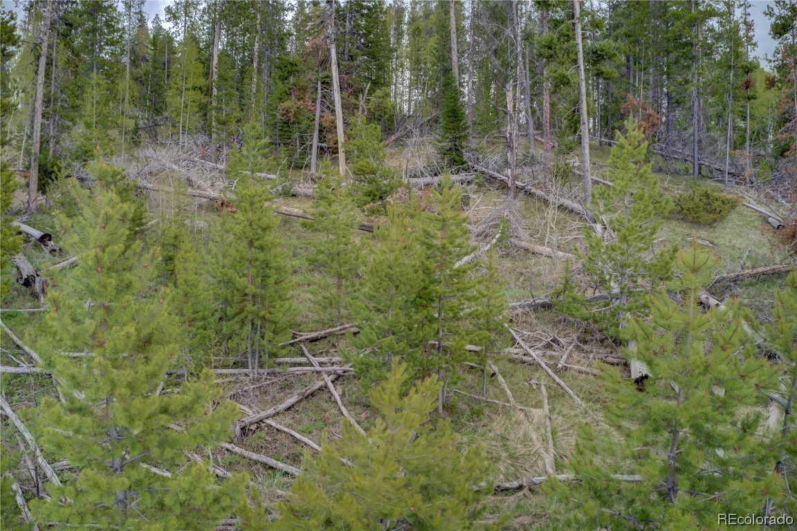 33227 Wenatchi (multi-family lot) TRAIL