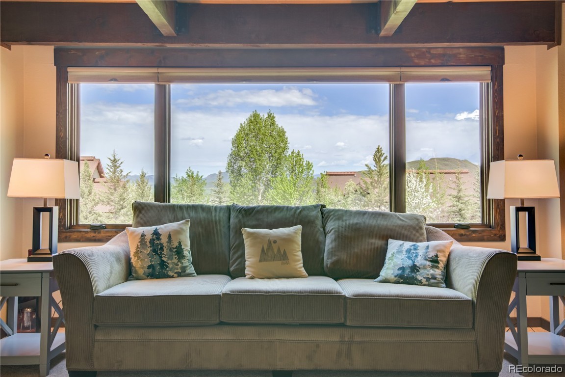 195 Willett Heights TRAIL 1