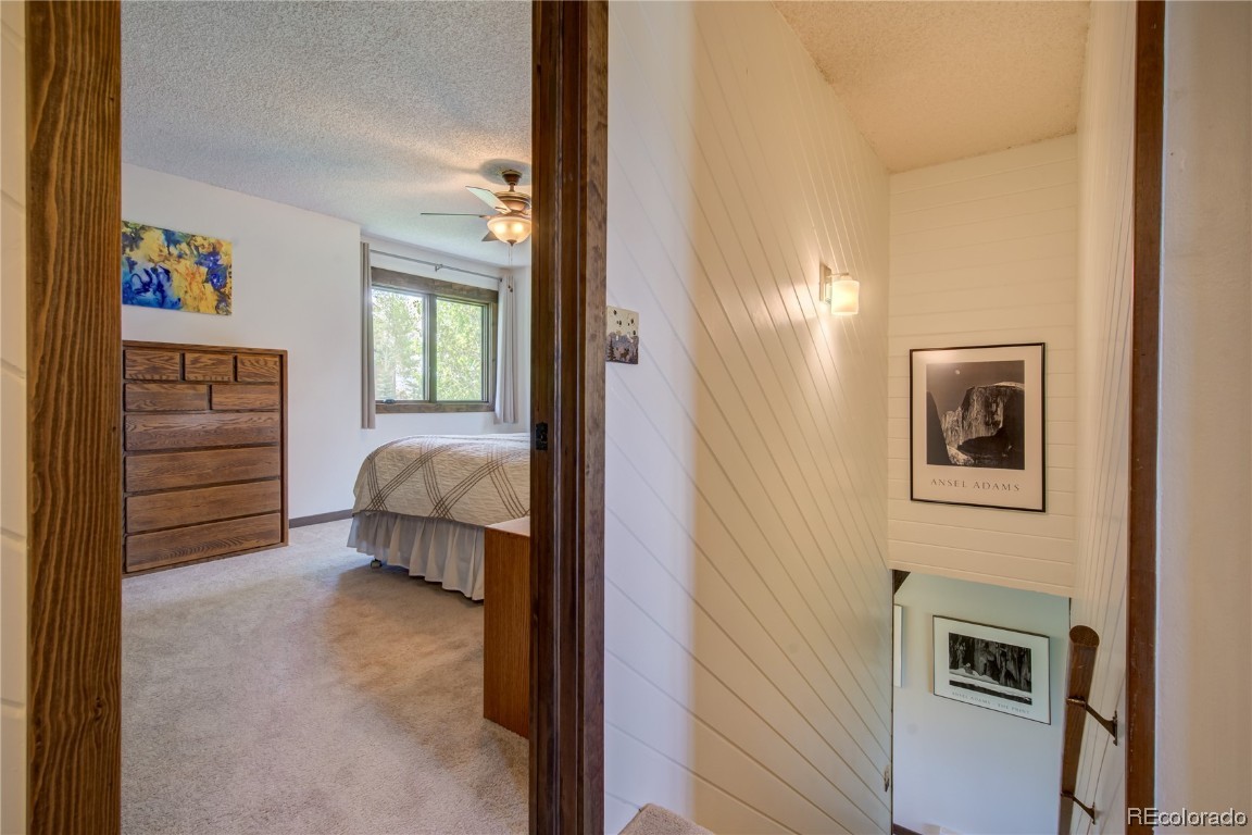 195 Willett Heights TRAIL 1
