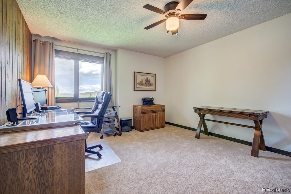 195 Willett Heights TRAIL 1
