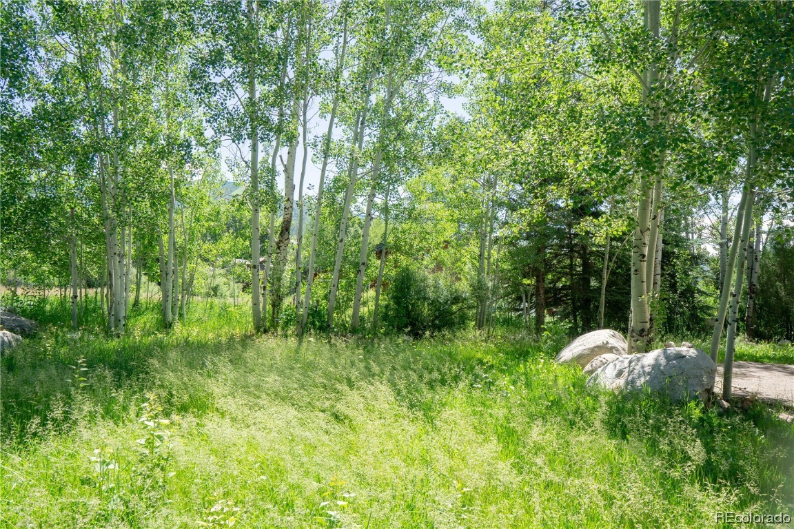 2000 Montview LANE