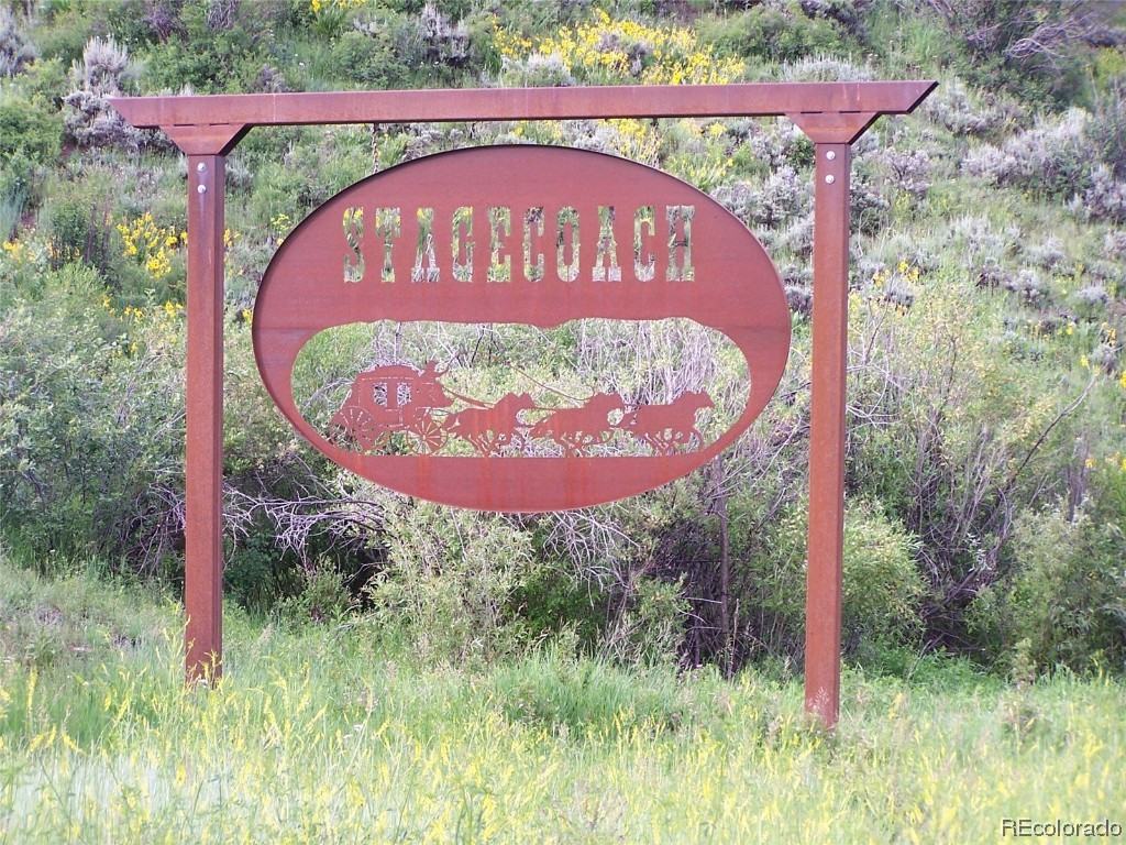 Springboard Colt TRAIL