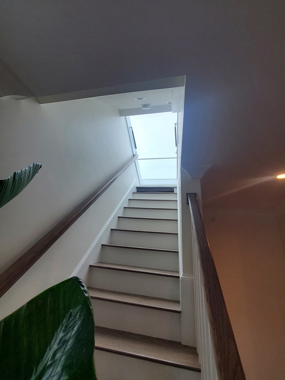 51 Lawley Street # 2