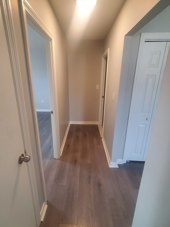 215 Pearl Street # 11