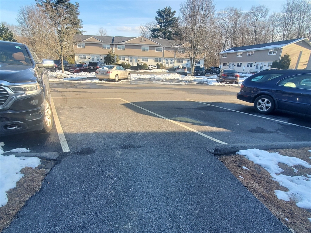 174 Pine Street # 33