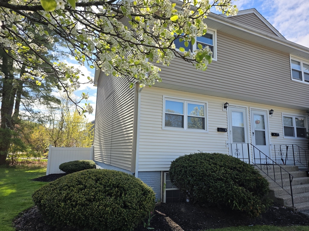 174 Pine Street # 1