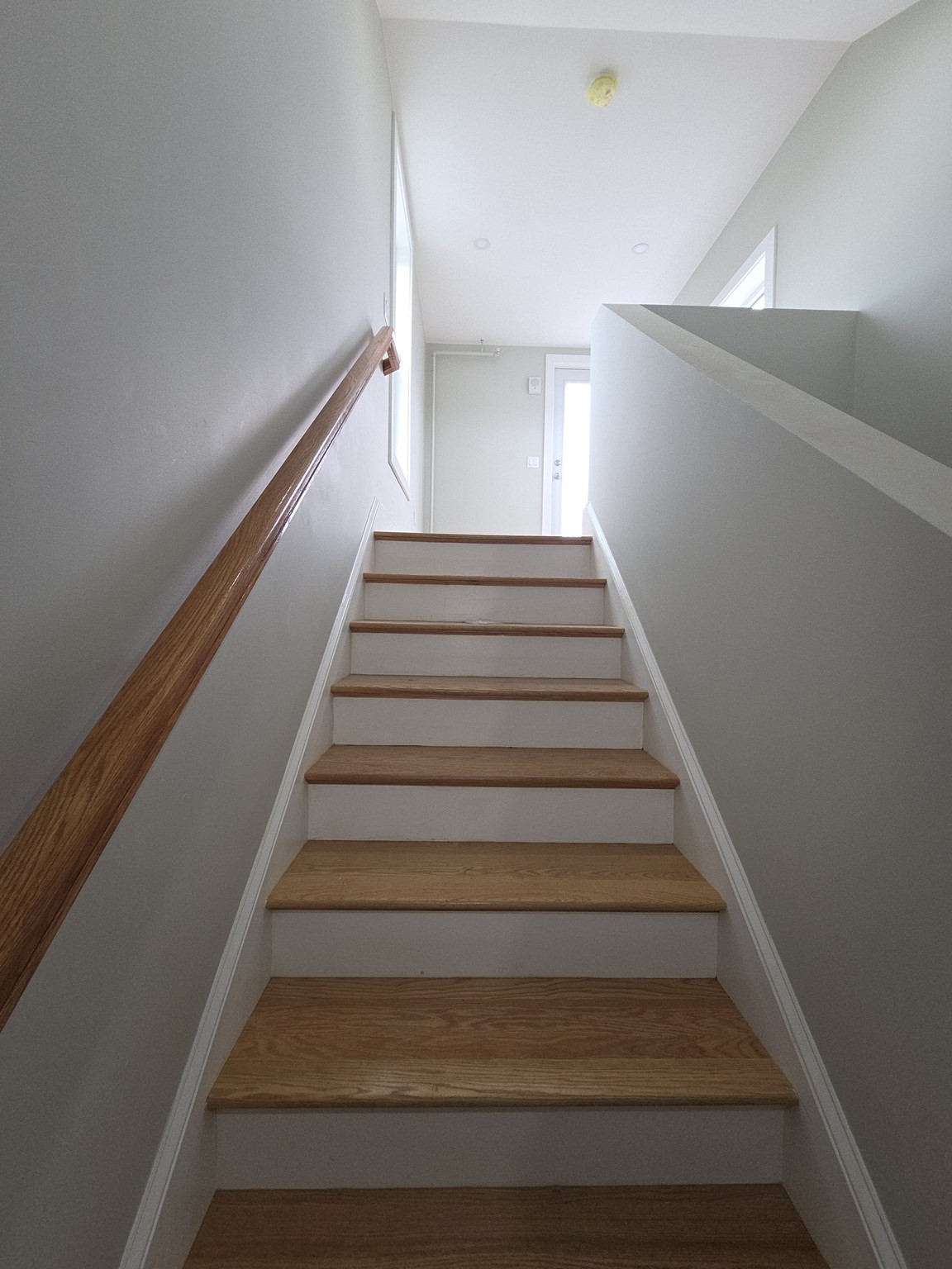 7 Thornley Street # 3