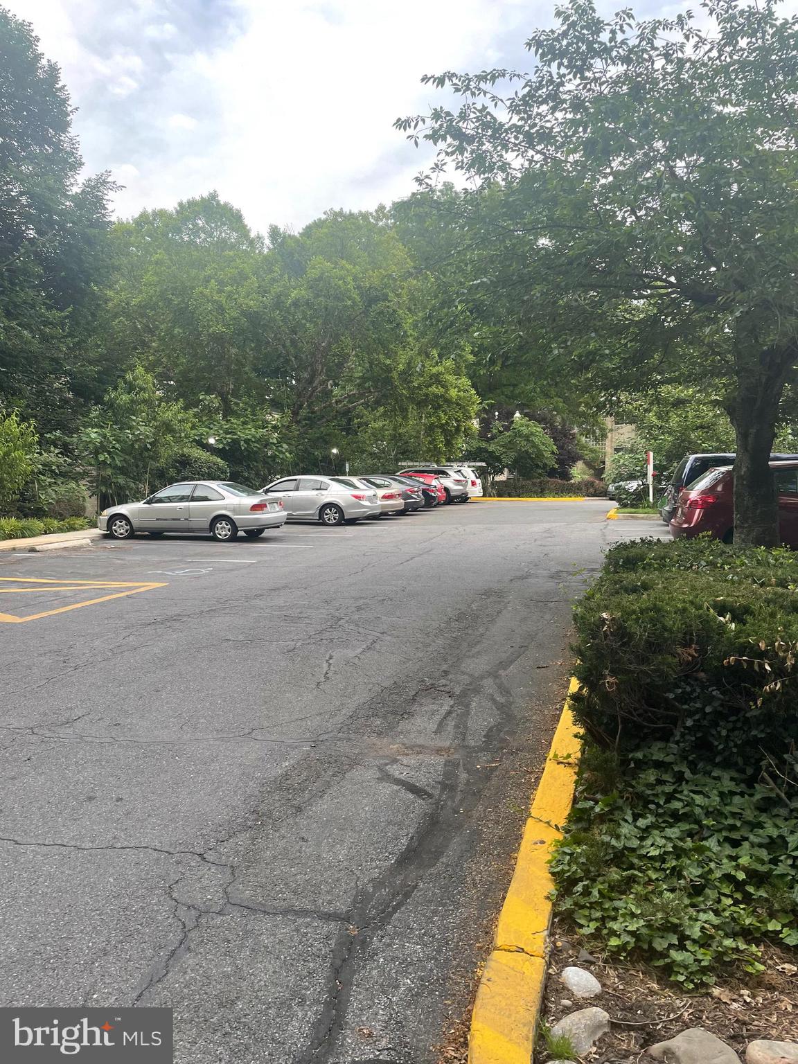 12309 Braxfield Ct #447