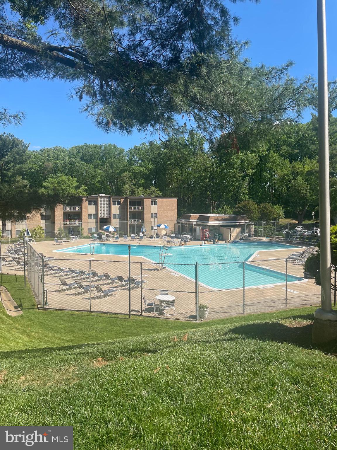 12309 Braxfield Ct #447