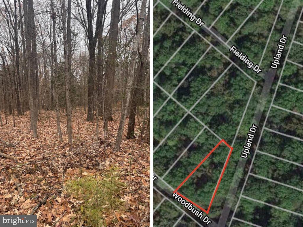 Woodbush Dr