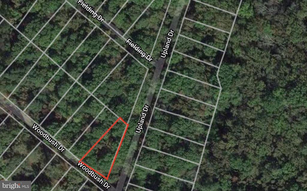 Woodbush Dr