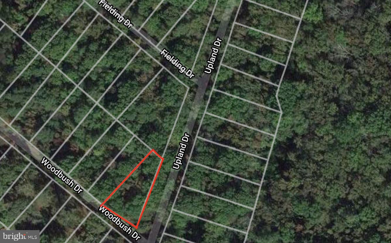 Woodbush Dr