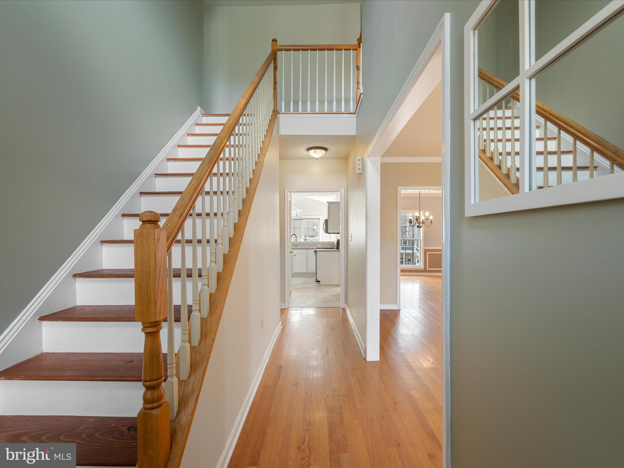 111 Cannon Cir