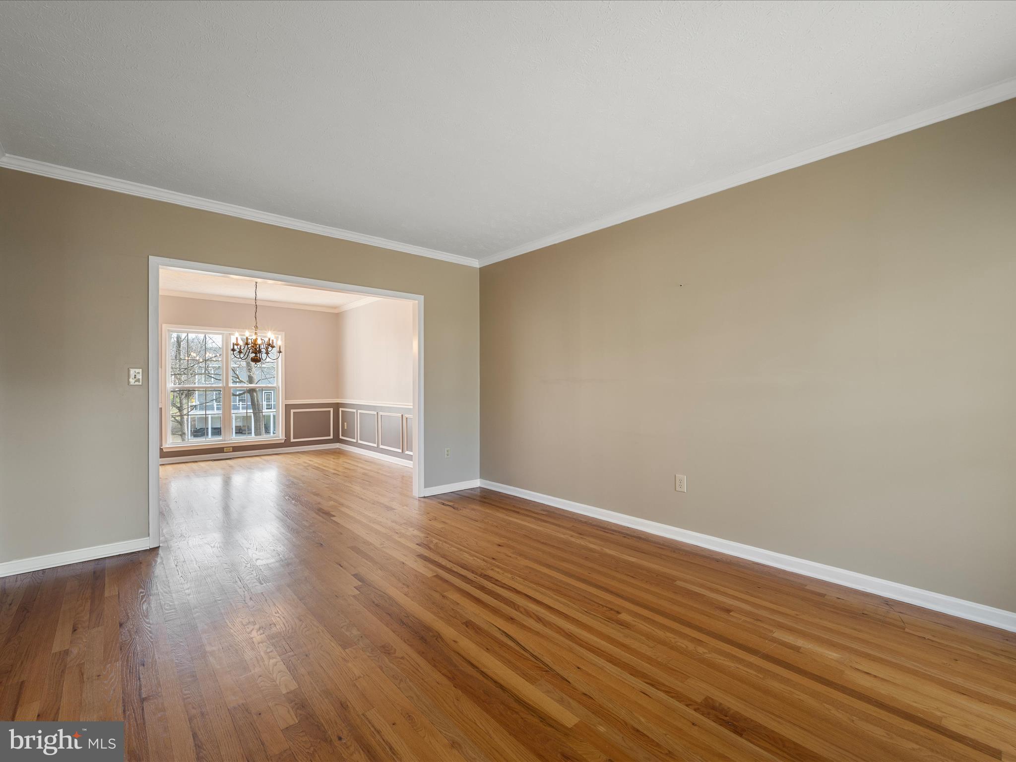 111 Cannon Cir
