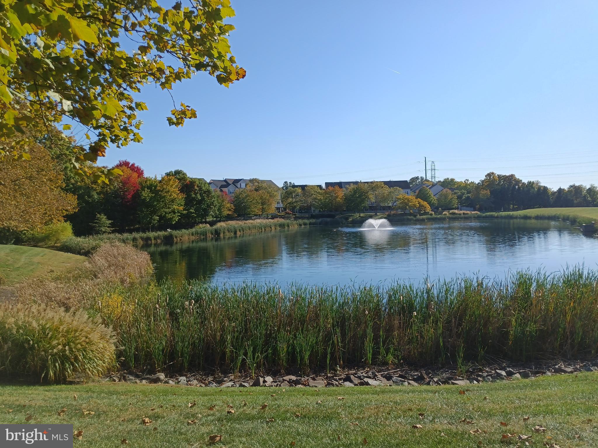 12185 ABINGTON HALL PL #304