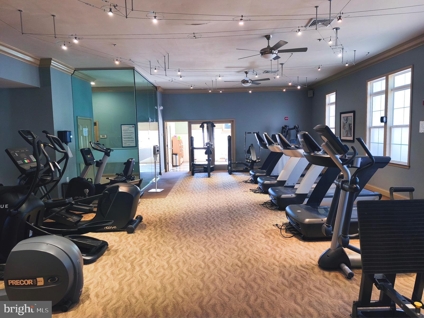 42492 MAYFLOWER TERRACE 203