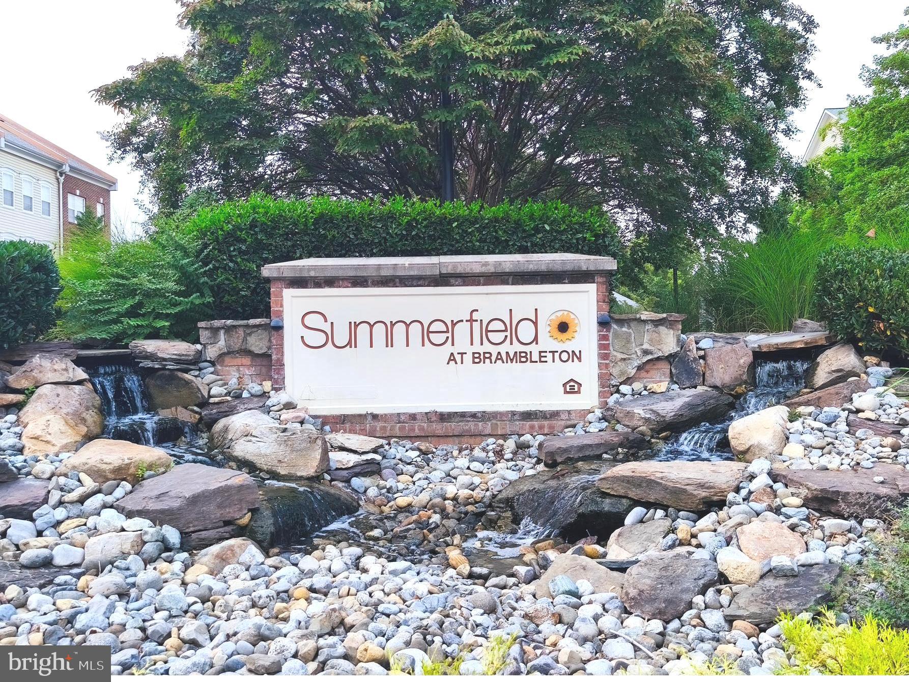 42492 MAYFLOWER TERRACE 203