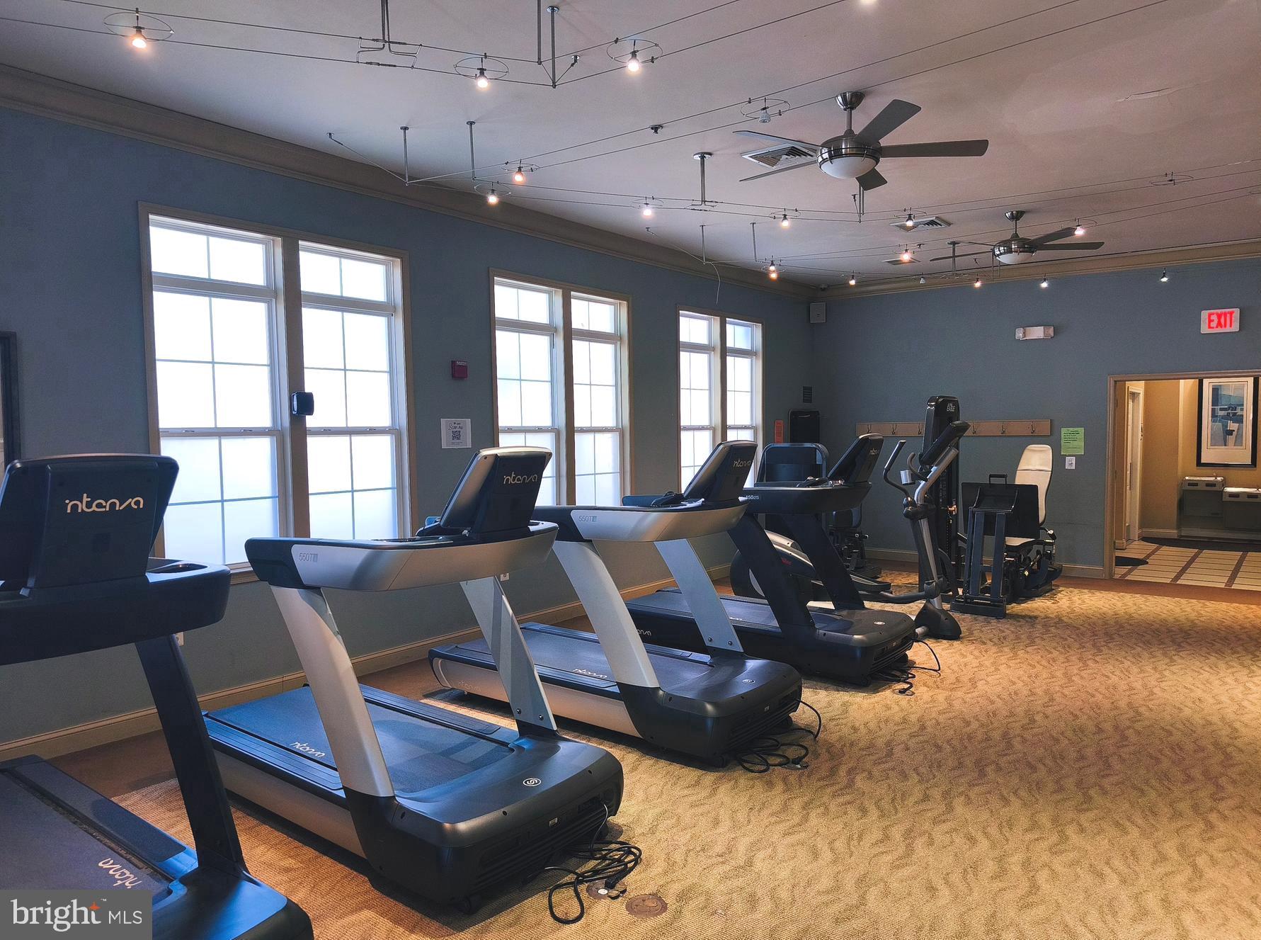 42492 MAYFLOWER TERRACE 203