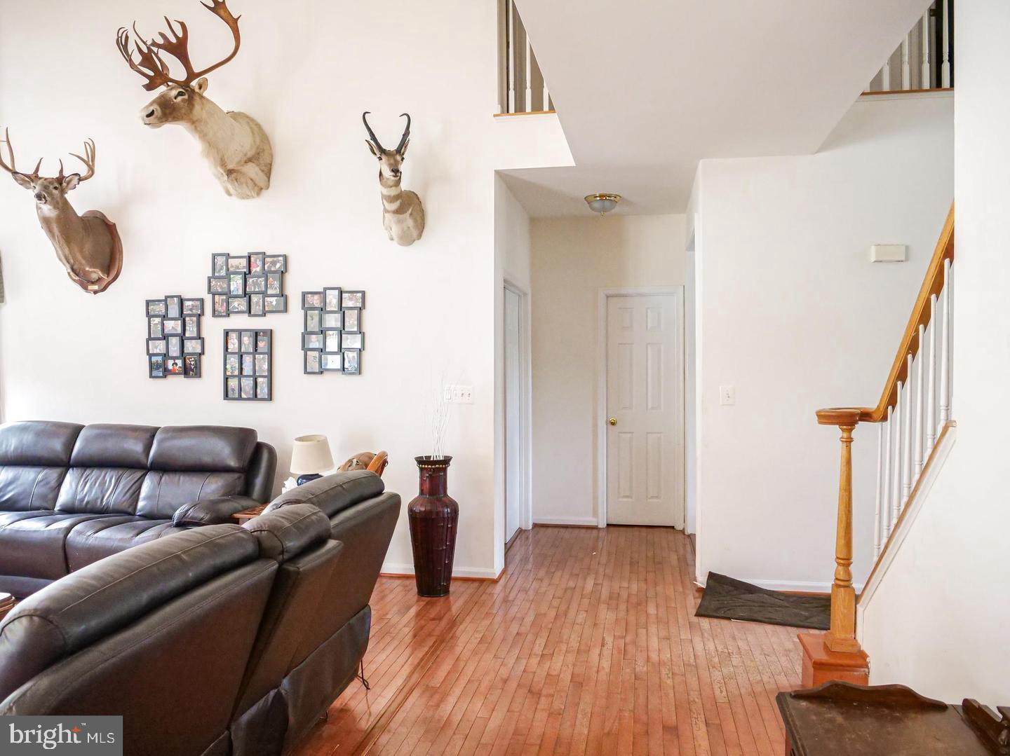 21337 CAMERON HUNT PLACE