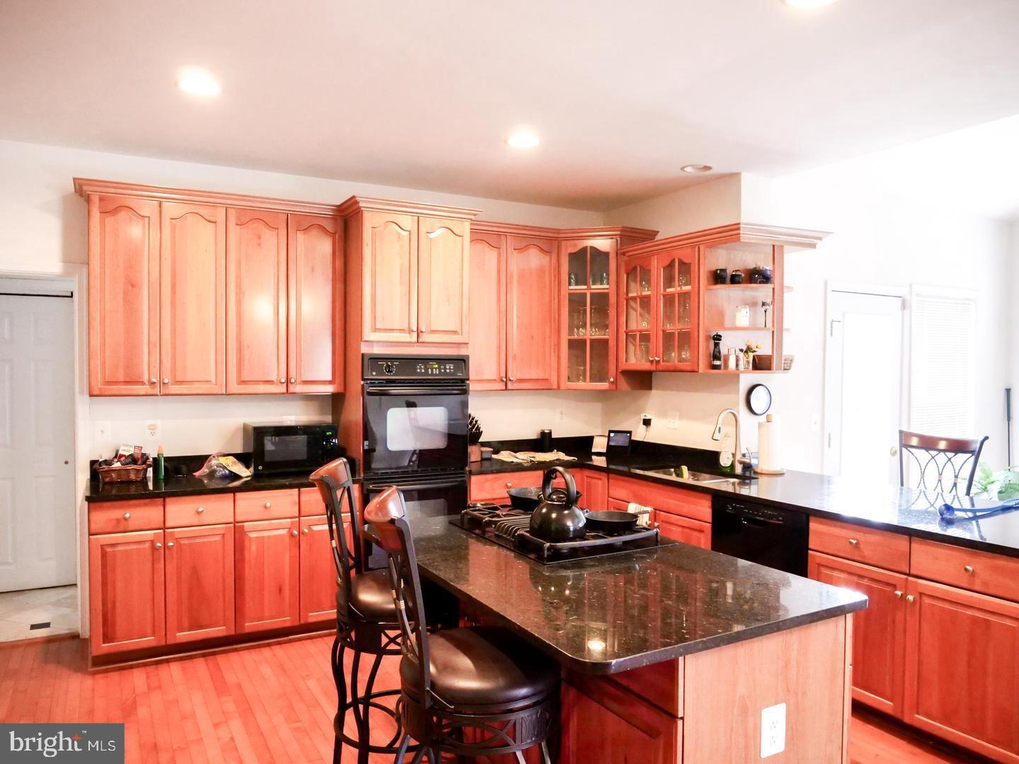 21337 CAMERON HUNT PLACE