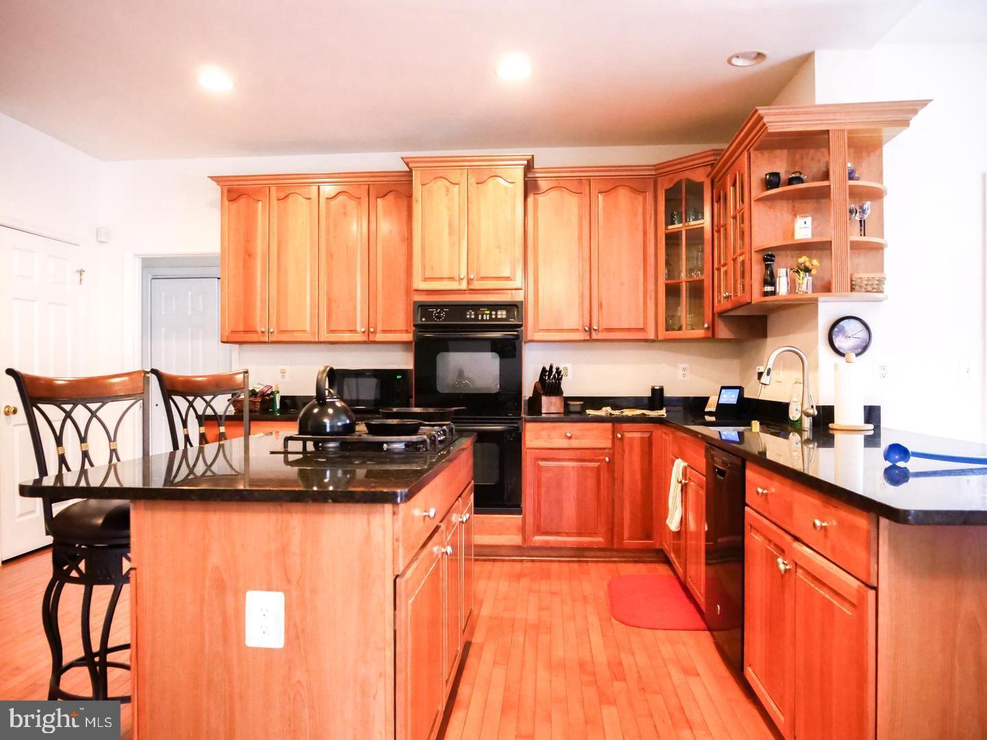 21337 CAMERON HUNT PLACE