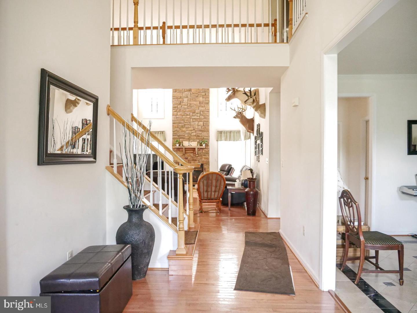 21337 CAMERON HUNT PLACE