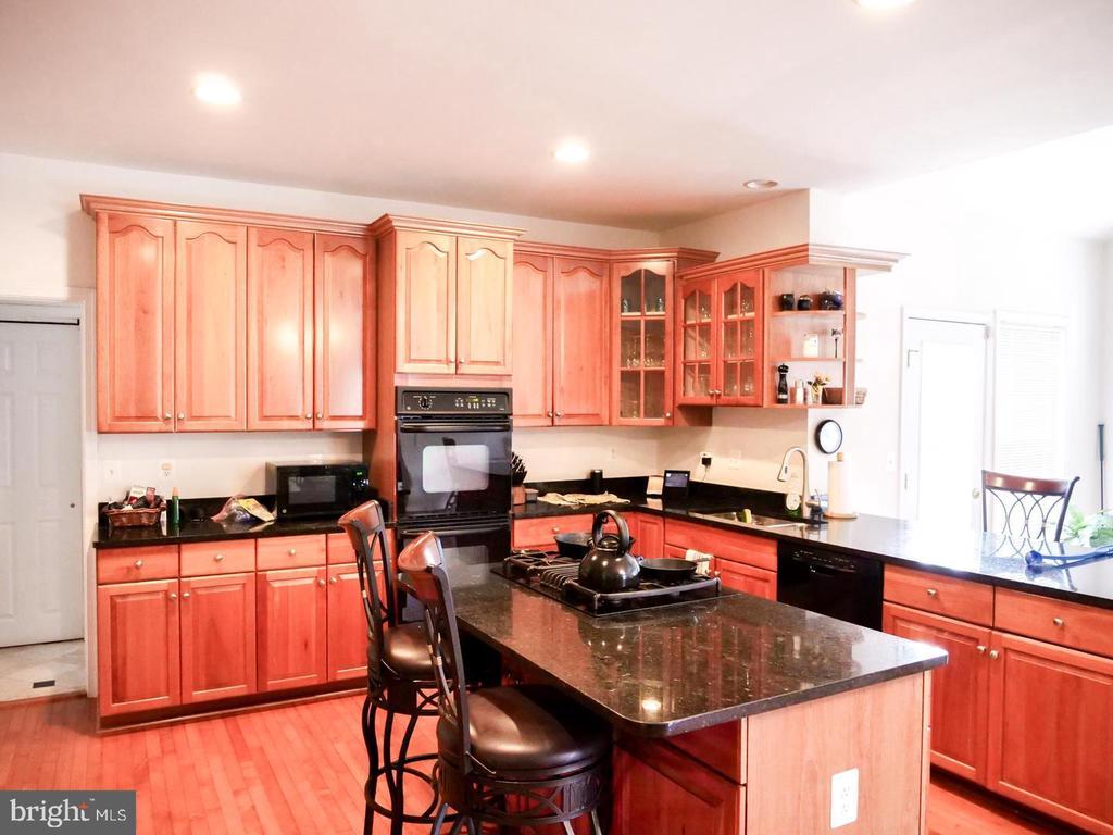 21337 CAMERON HUNT PLACE