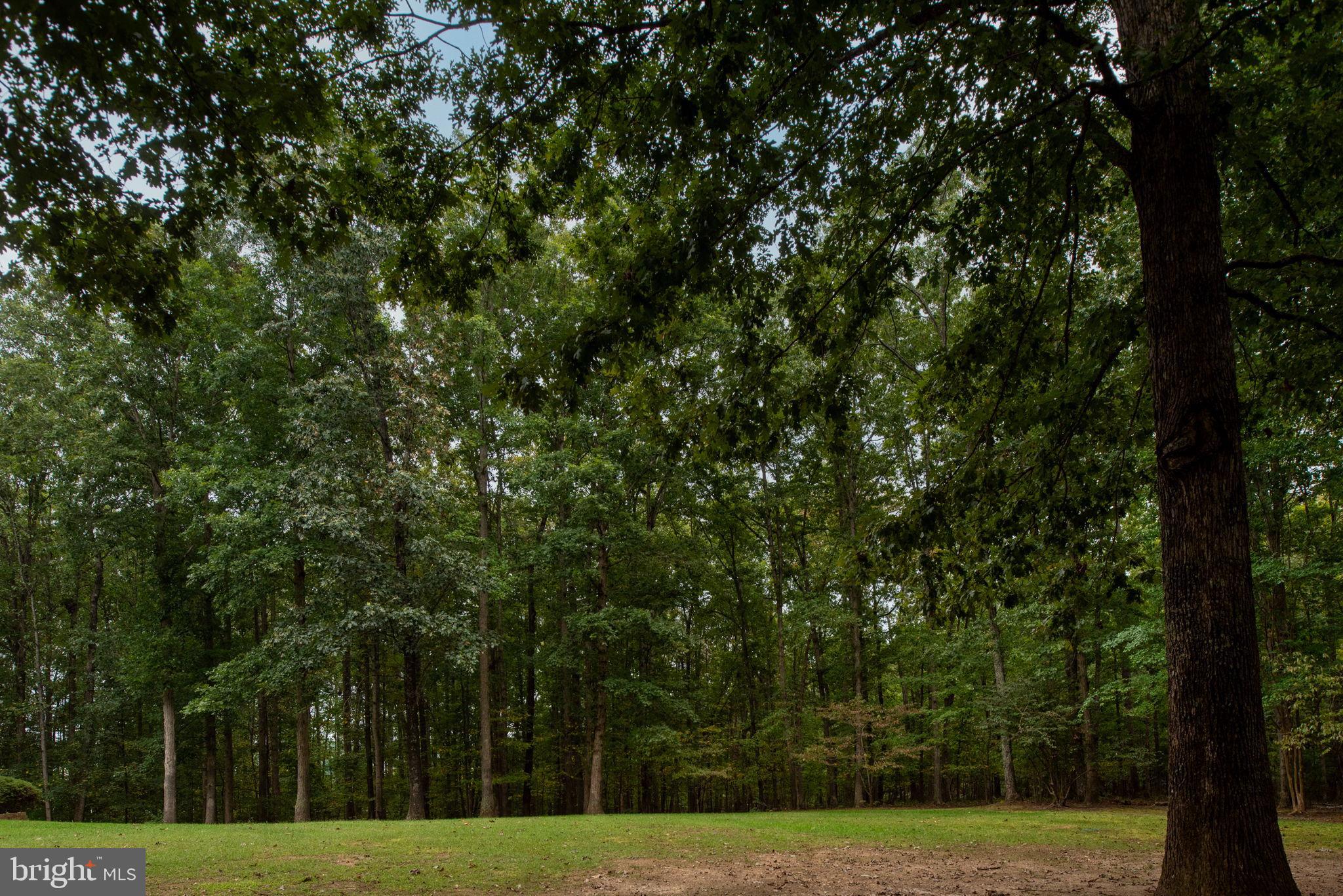 32236 DEEP MEADOW LANE