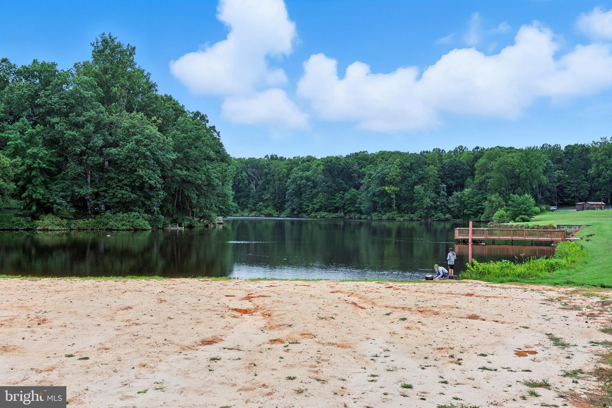 11518 WILDERNESS PARK DRIVE