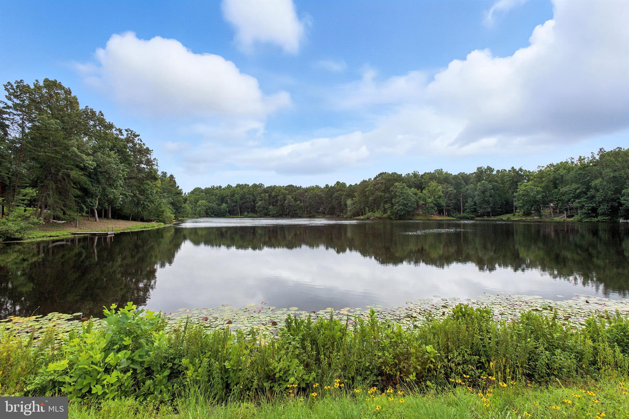 11518 WILDERNESS PARK DRIVE