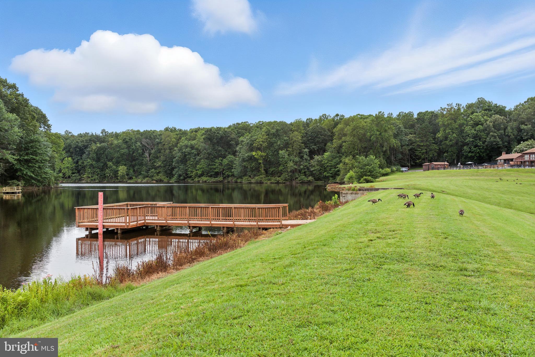 11518 WILDERNESS PARK DRIVE