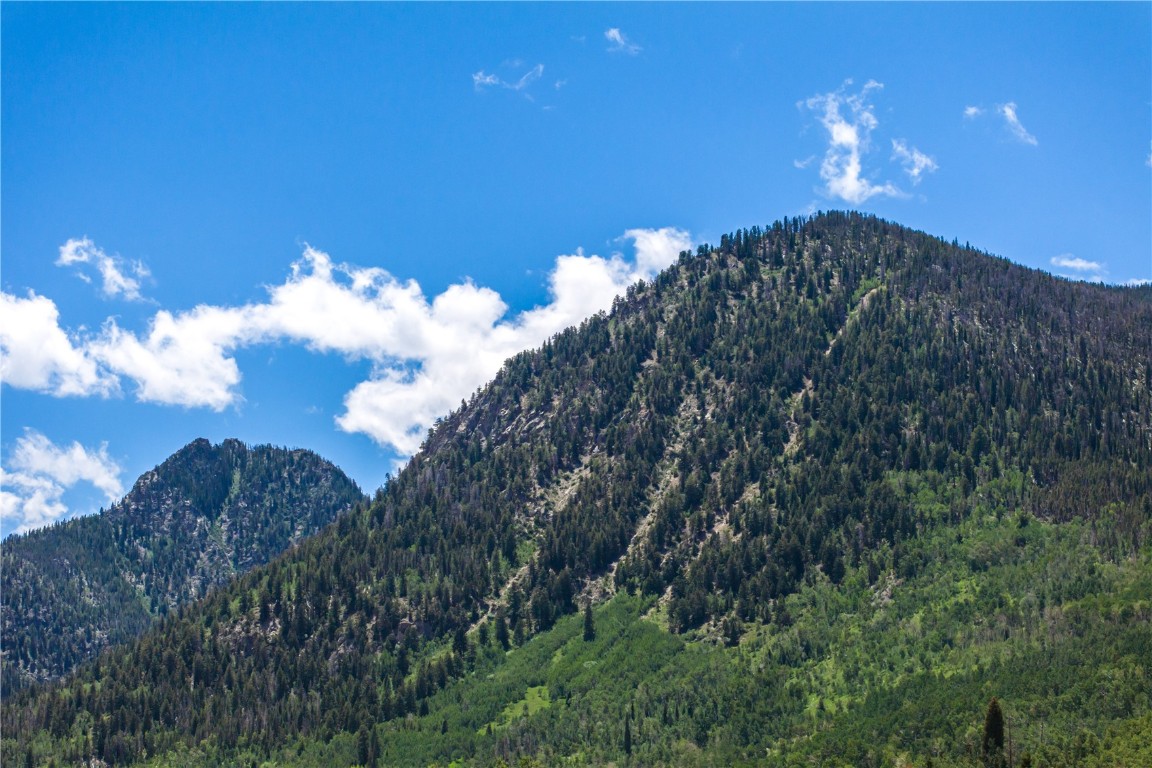 185 Lusher COURT 207