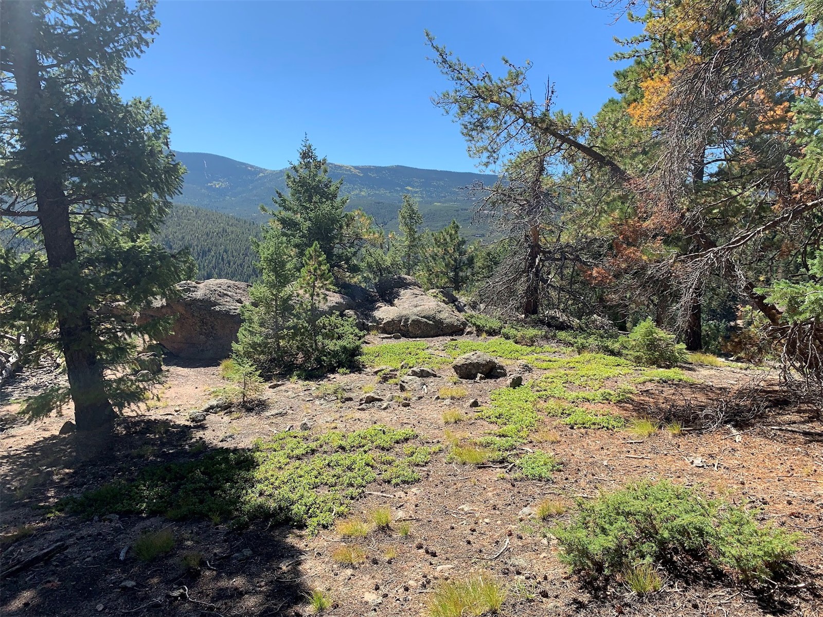 32764 Lodgepole CIRCLE