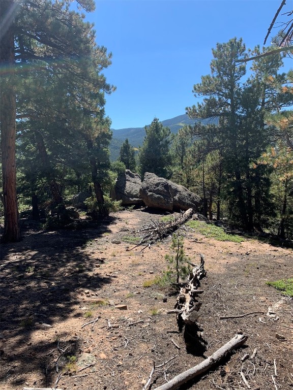 32764 Lodgepole CIRCLE