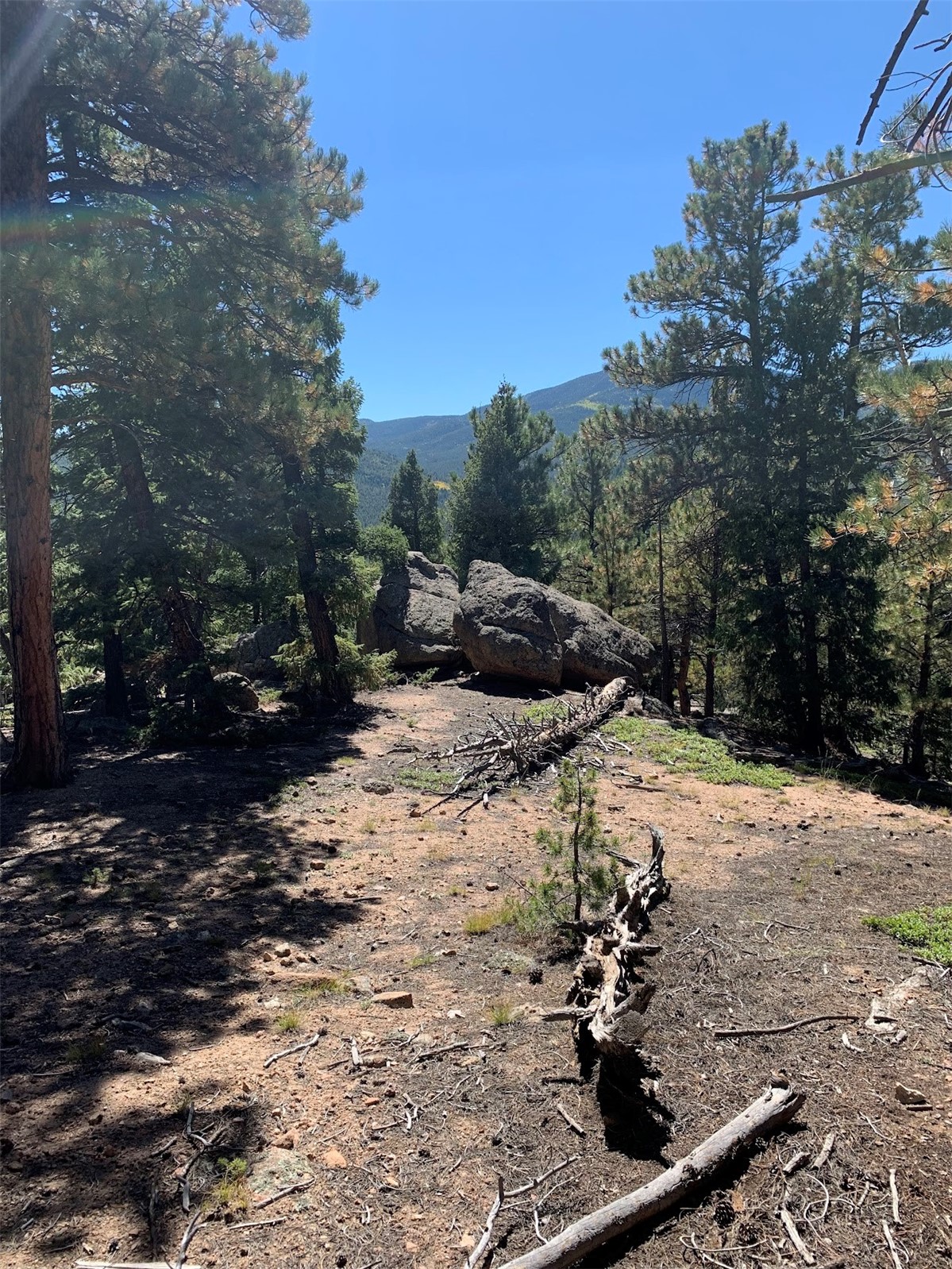 32764 Lodgepole CIRCLE