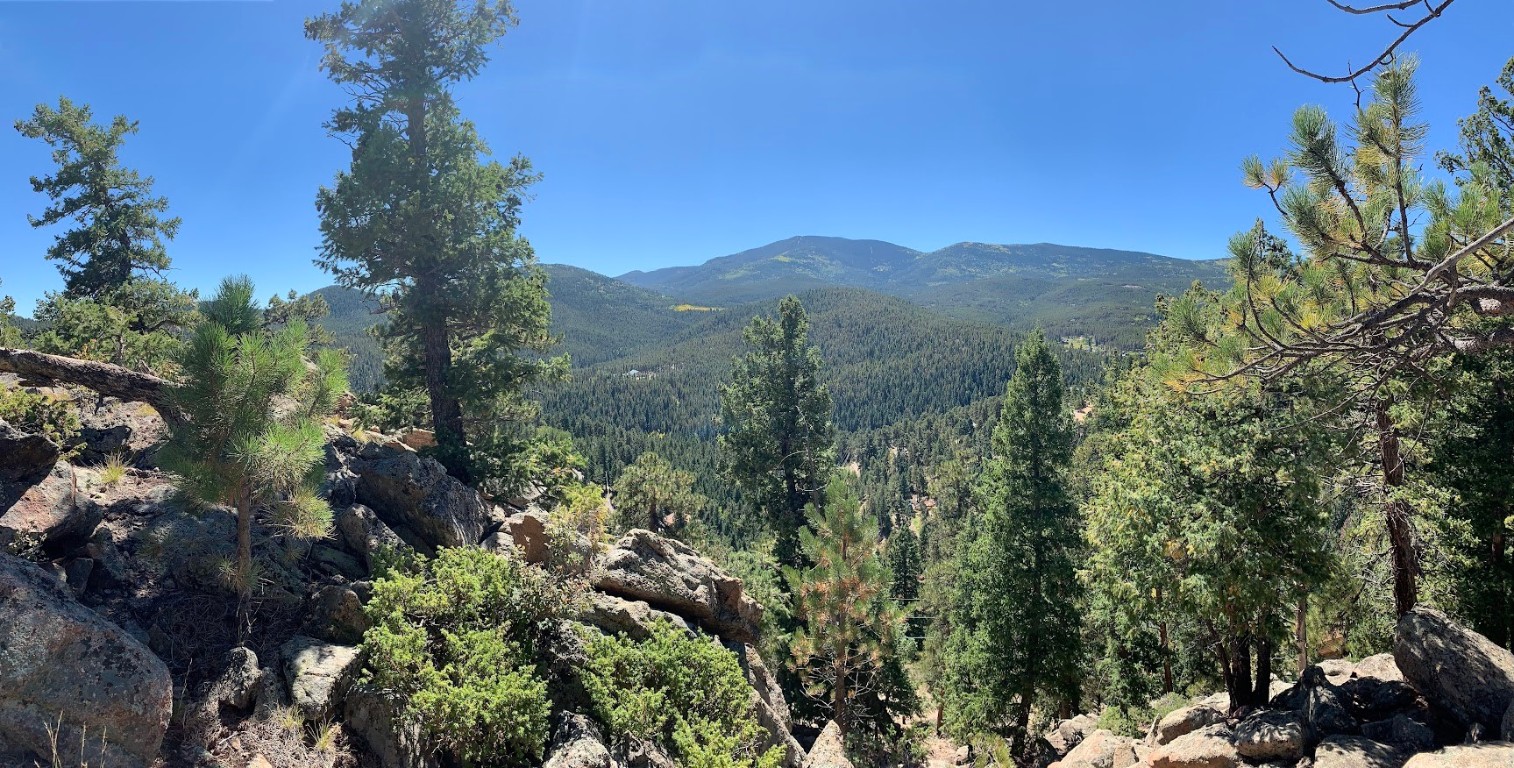 32764 Lodgepole CIRCLE