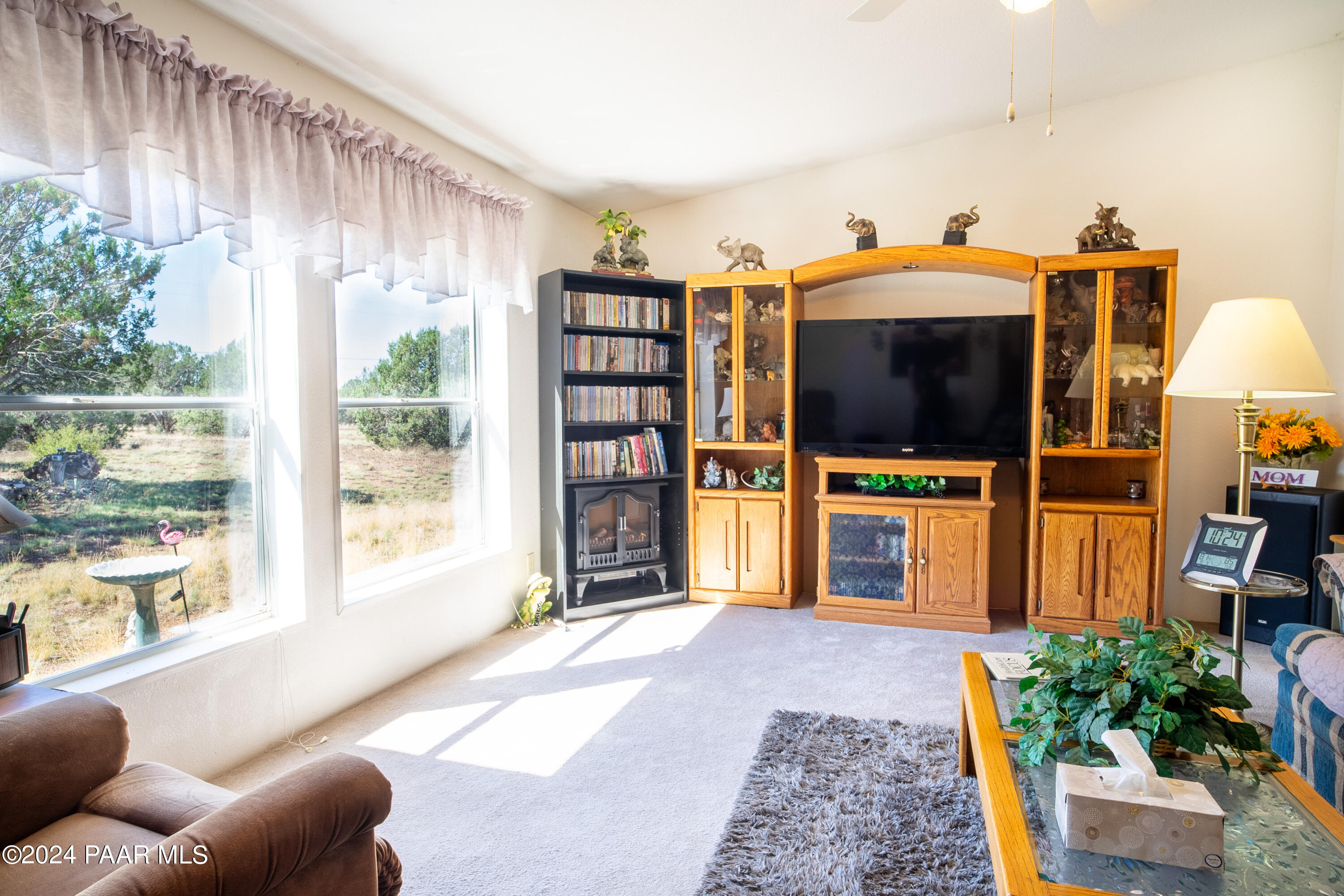 205 W Ridgeview Drive