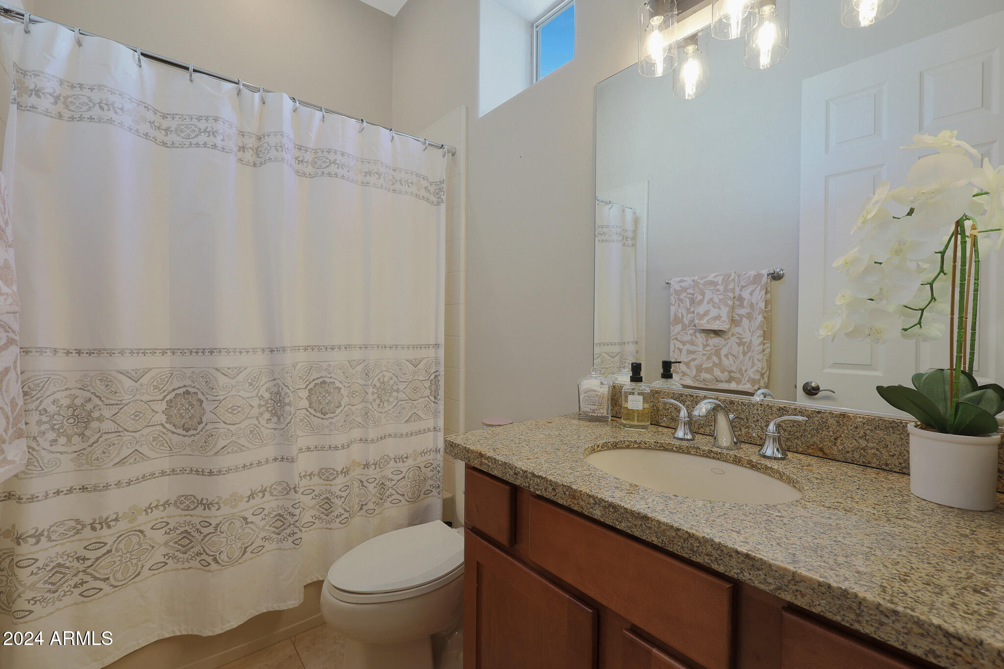 10731 N SONORA Vista