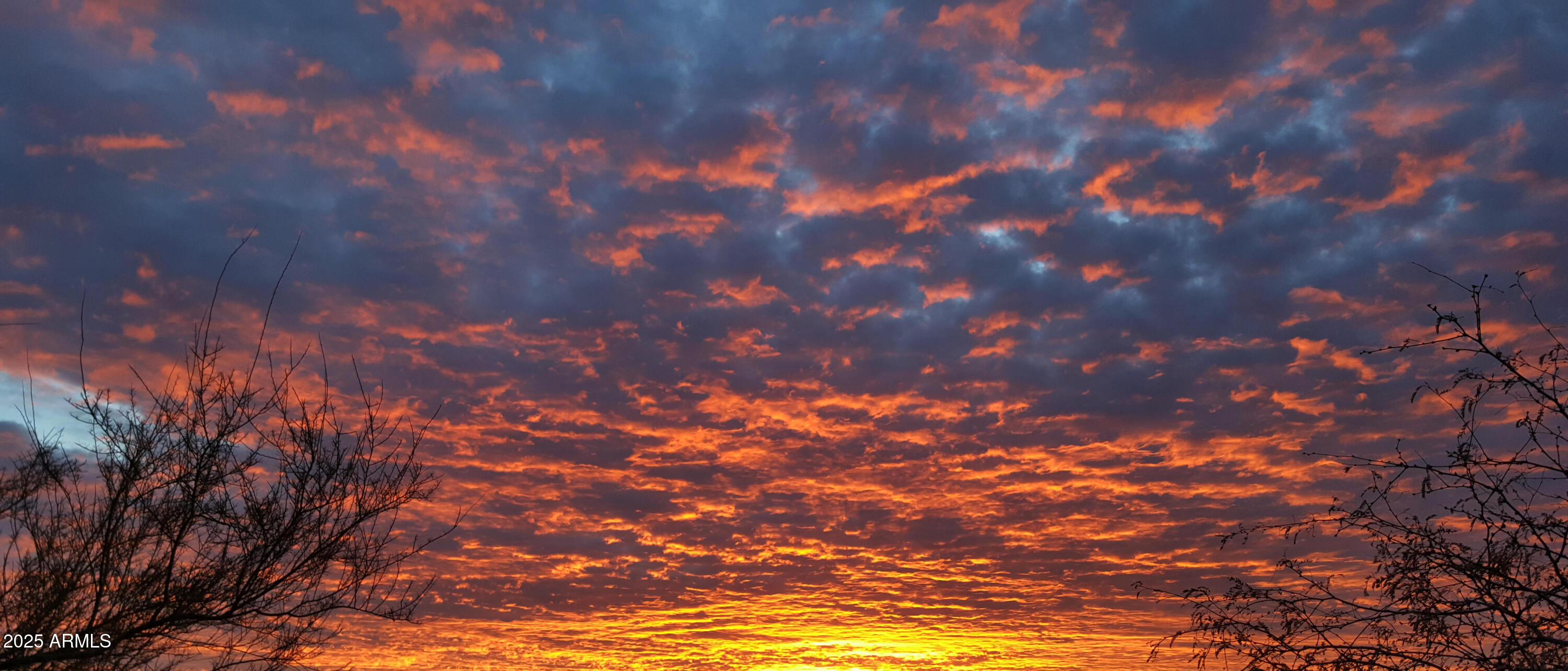 42143 N 108TH Place, 36