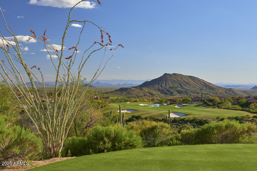 42143 N 108TH Place, 36