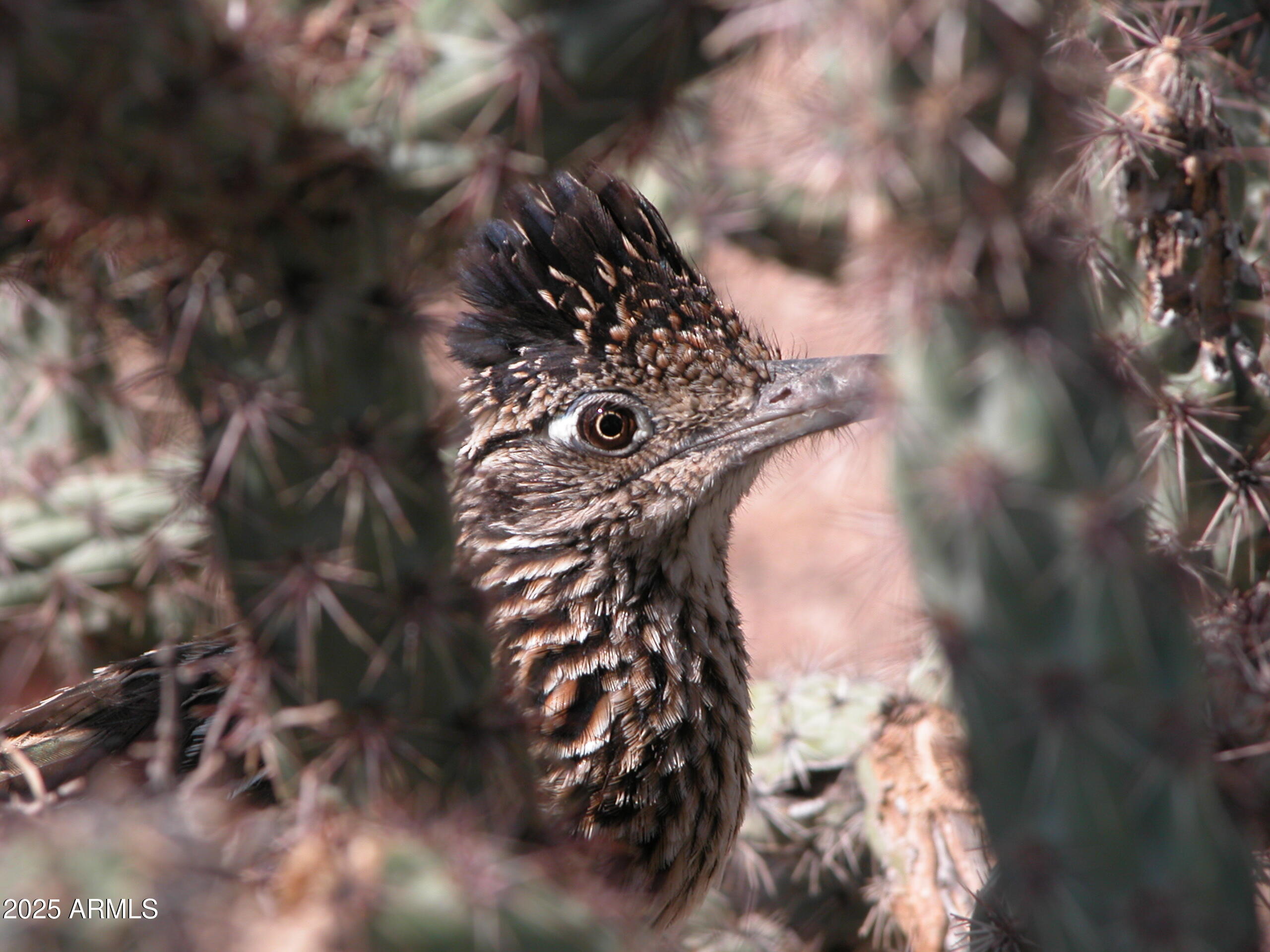 10651 E FERNWOOD Lane