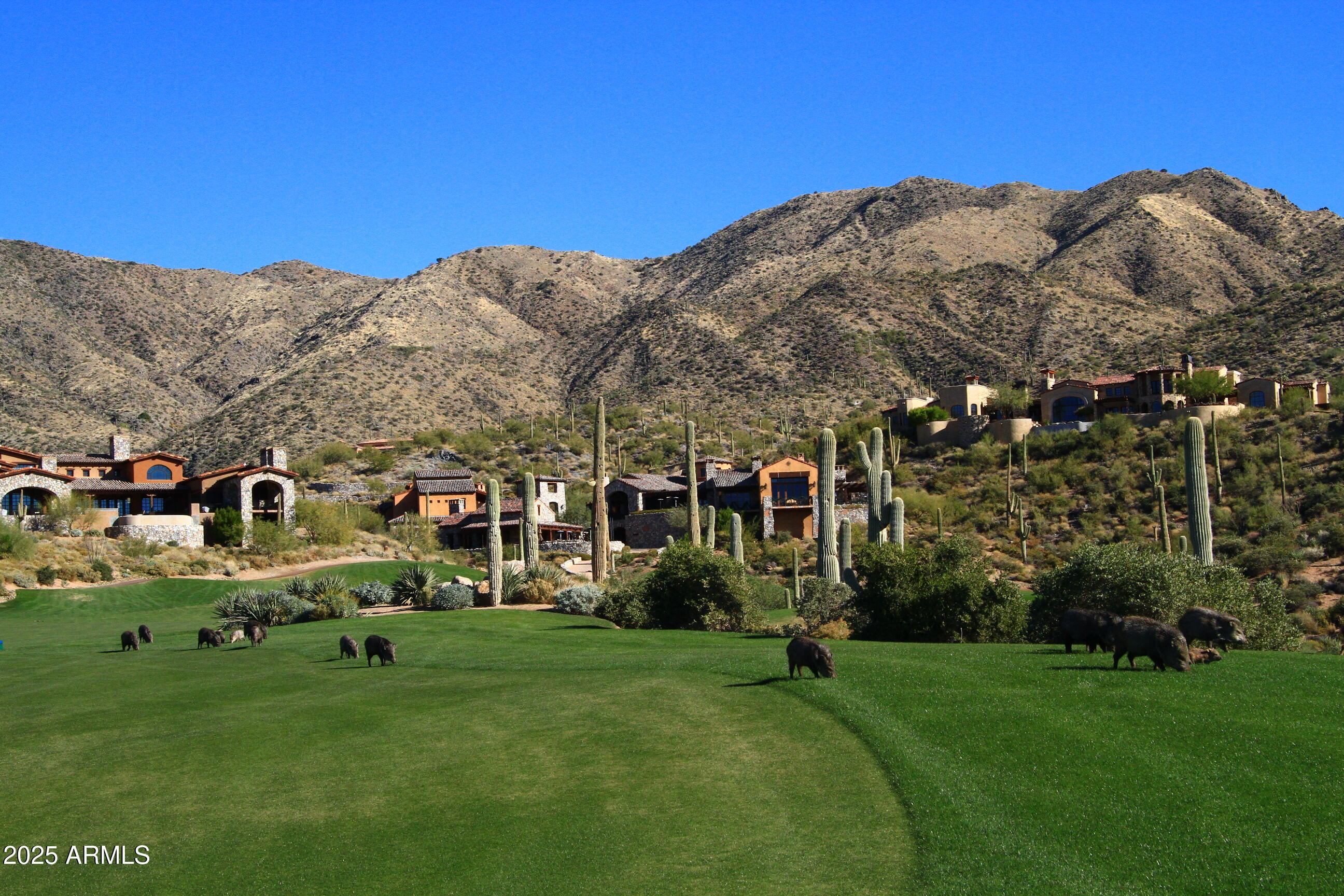 10651 E FERNWOOD Lane