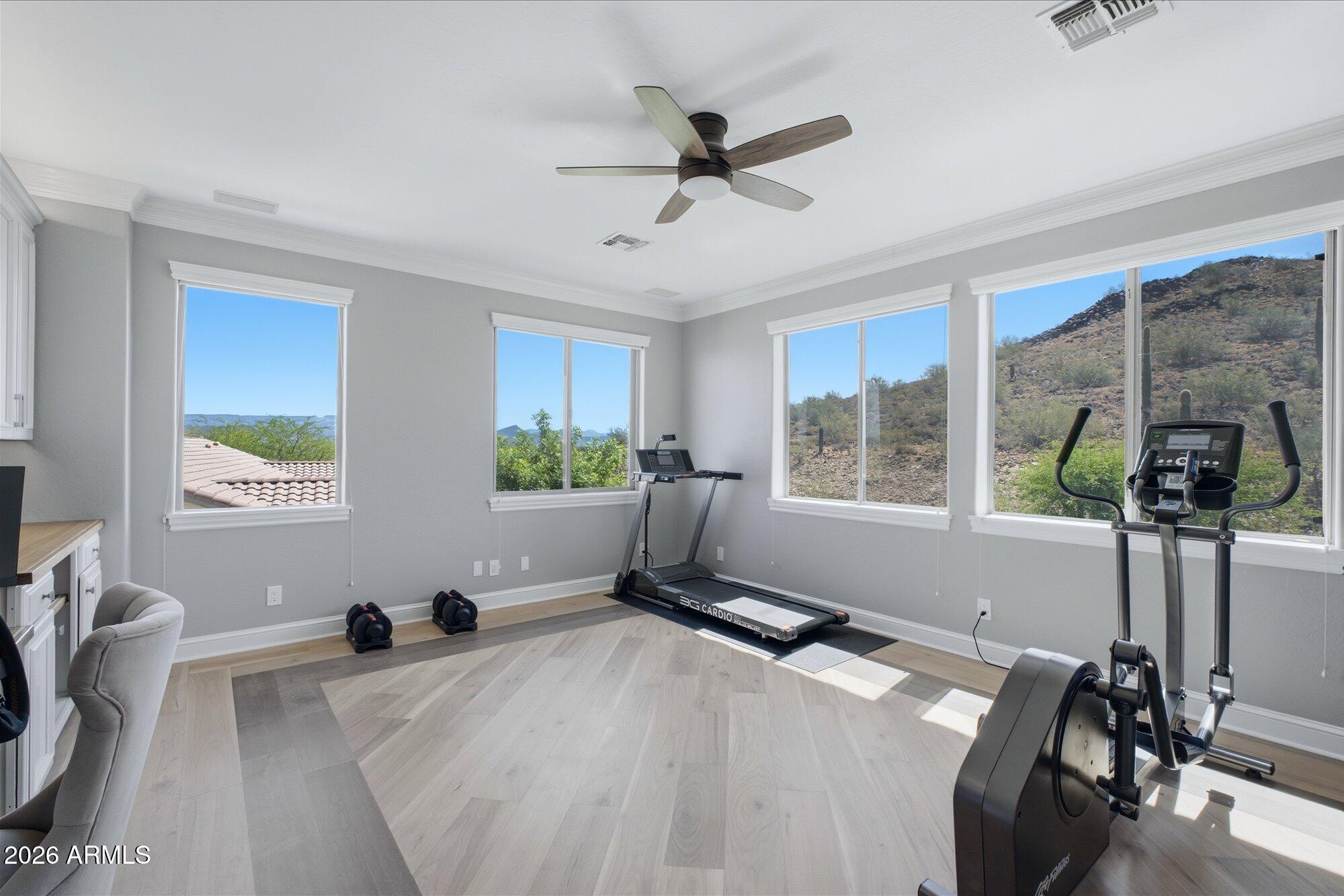 38521 N DONOVAN Court