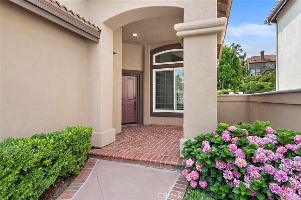 26271 Verona Place