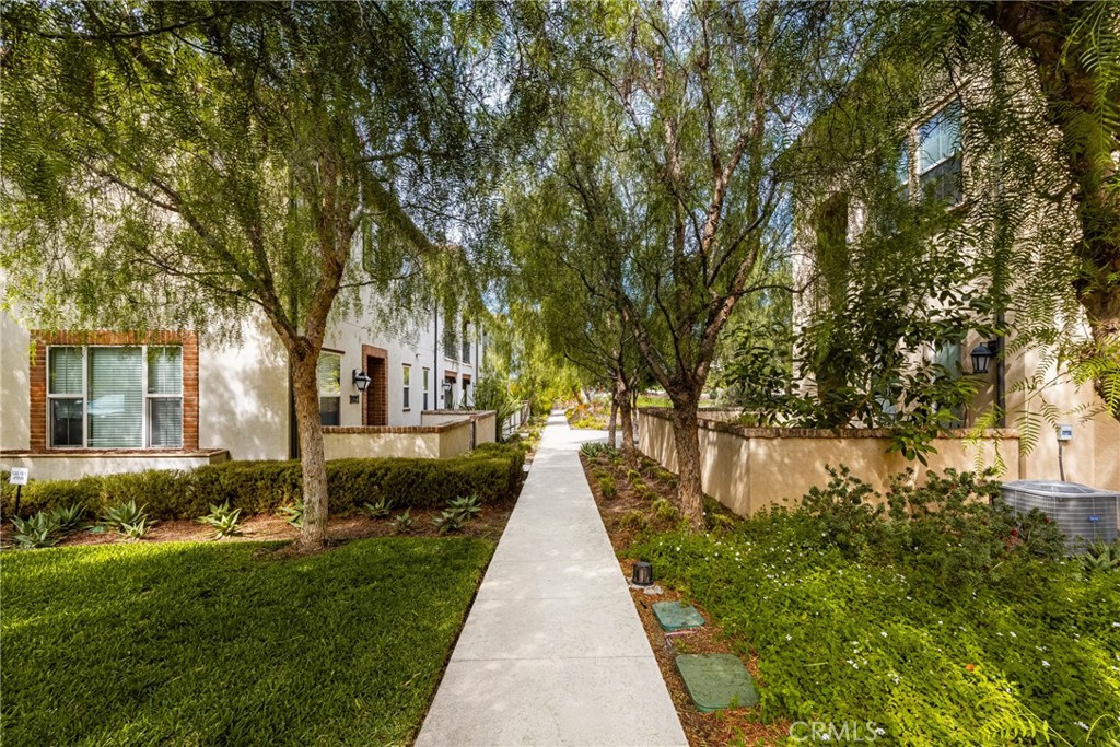 803 El Paseo