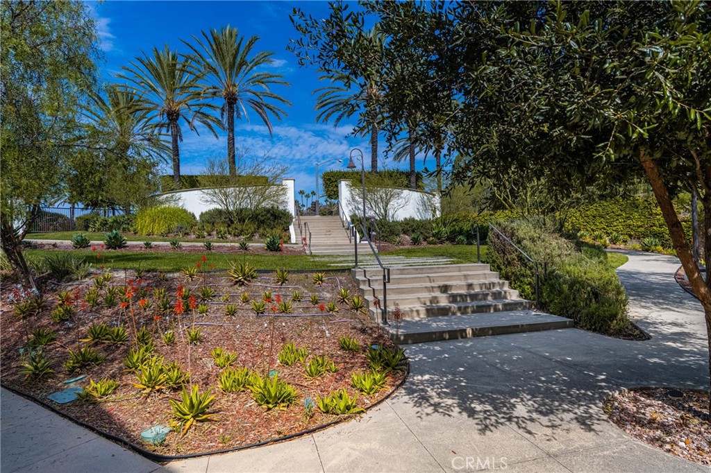 803 El Paseo