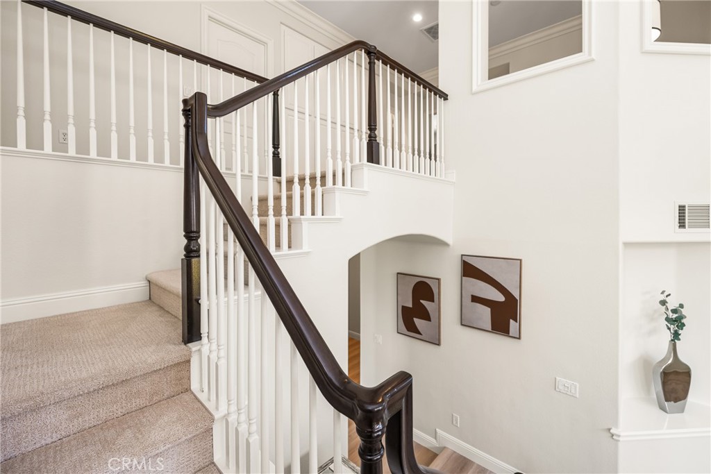 14 Celonova Place