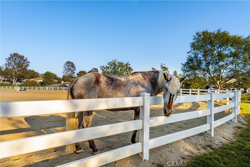 8009 E Eucalyptus Trail