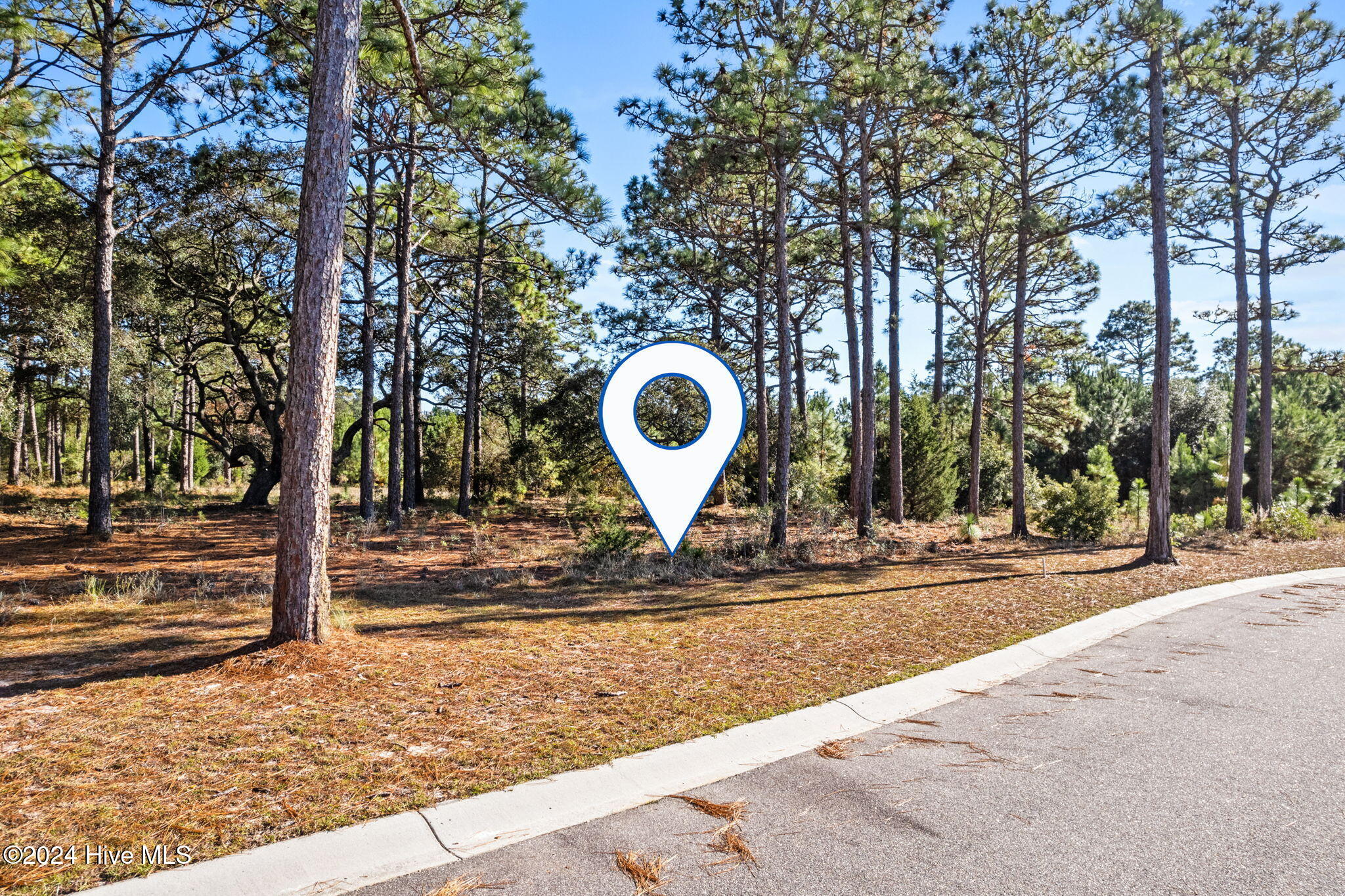 1542 St Vincent Drive SW