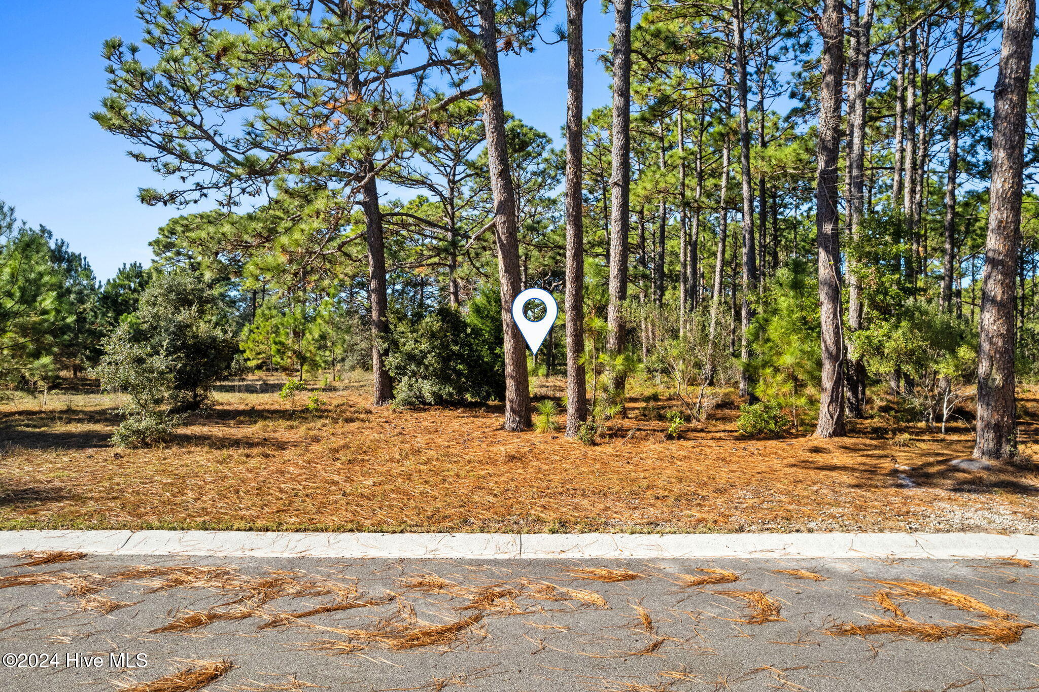 1542 St Vincent Drive SW